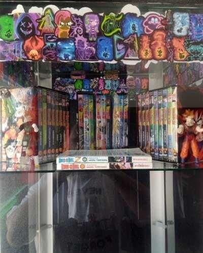 Common Collectibles & Gaming Lounge comic book store in Willits, California