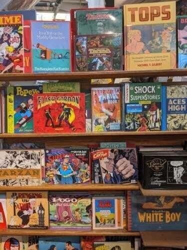 The Million Year Picnic comic book store in Cambridge, Massachusetts