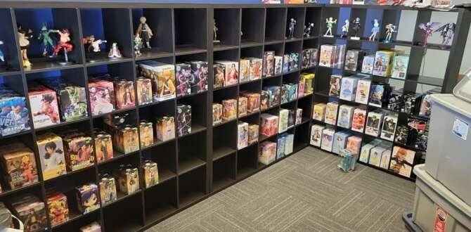 Comic book store in Rockford Matt's Basement: Anime Comics and More